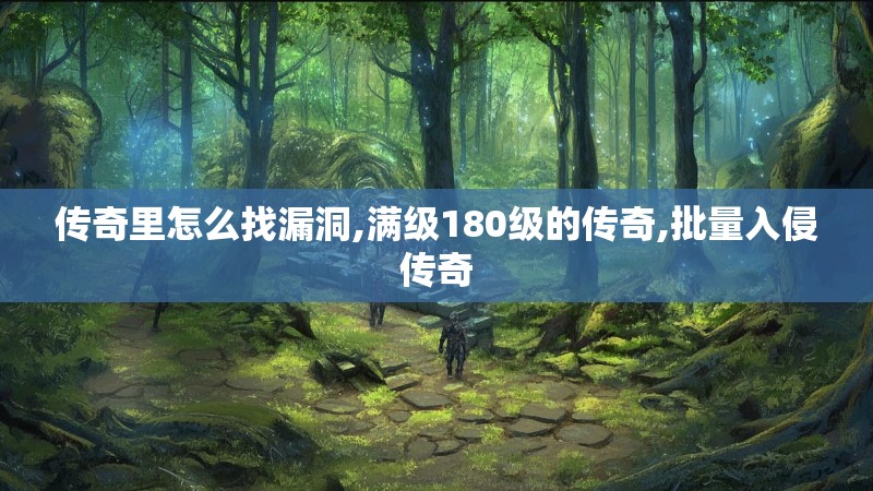 传奇里怎么找漏洞,满级180级的传奇,批量入侵传奇