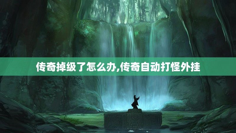 传奇掉级了怎么办,传奇自动打怪外挂