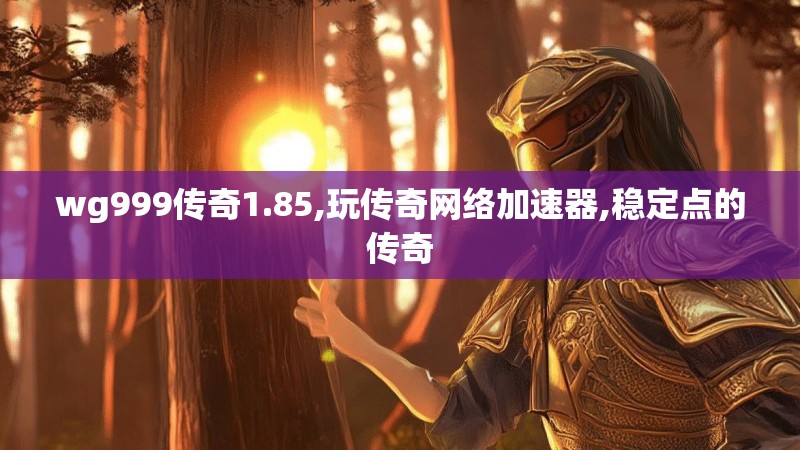 wg999传奇1.85,玩传奇网络加速器,稳定点的传奇