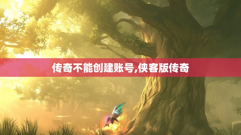 传奇不能创建账号,侠客版传奇