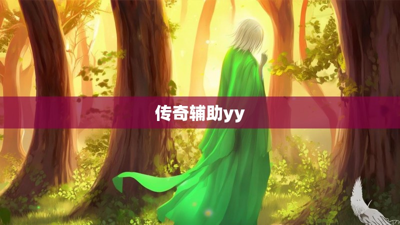 传奇辅助yy