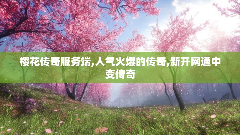 樱花传奇服务端,人气火爆的传奇,新开网通中变传奇