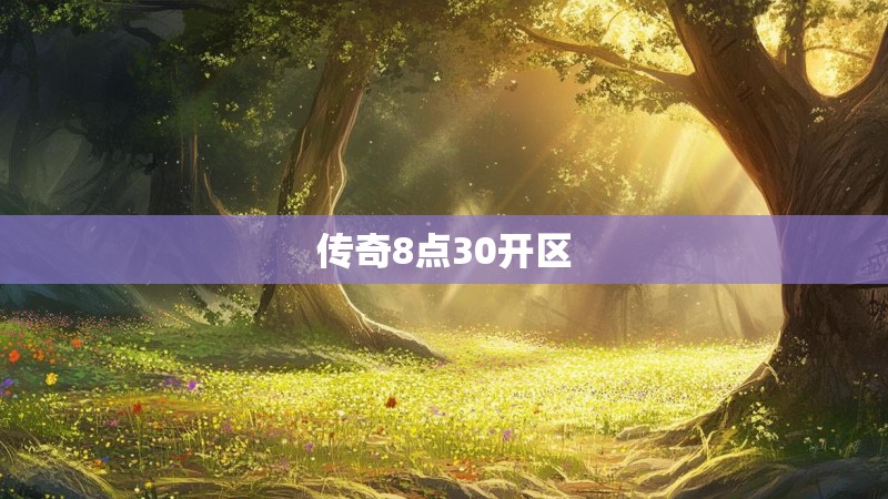 传奇8点30开区