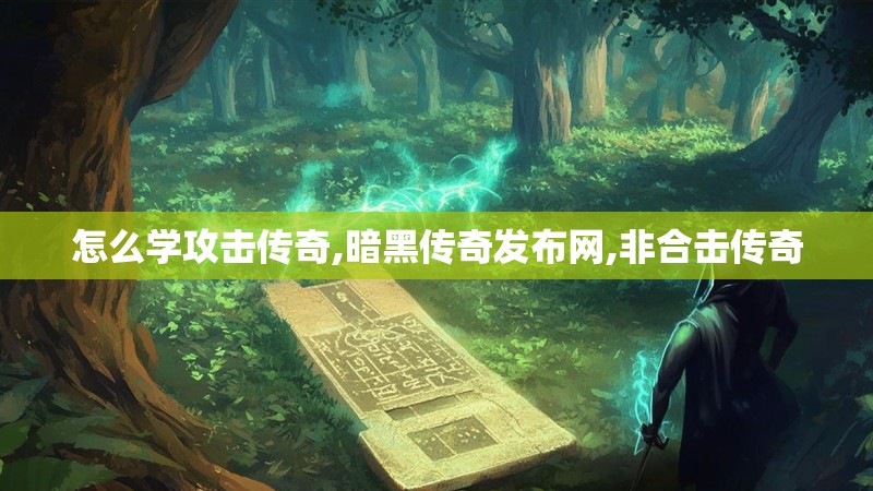 怎么学攻击传奇,暗黑传奇发布网,非合击传奇