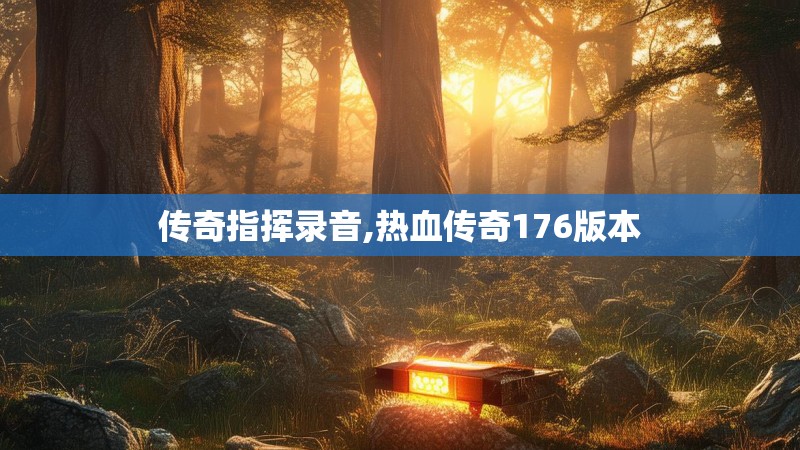 传奇指挥录音,热血传奇176版本