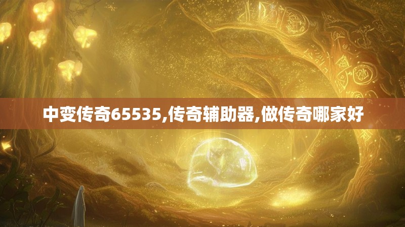 中变传奇65535,传奇辅助器,做传奇哪家好