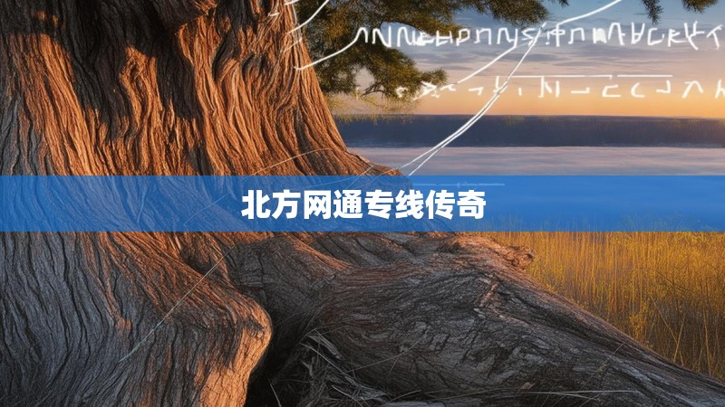 北方网通专线传奇