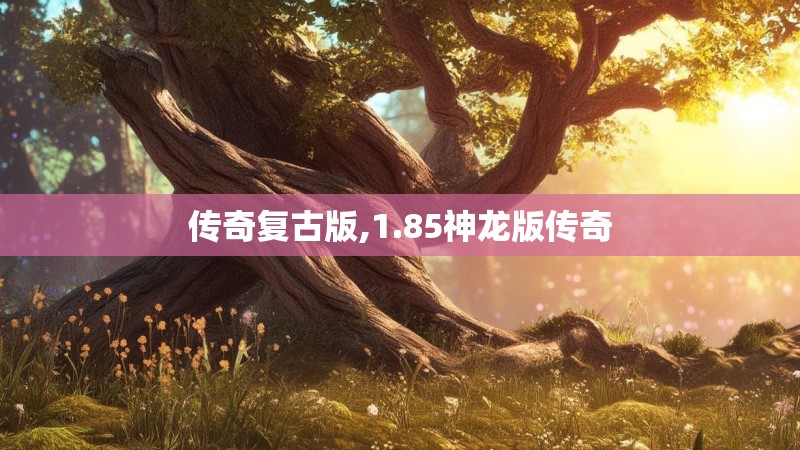 传奇复古版,1.85神龙版传奇