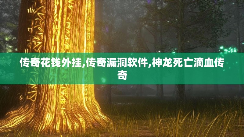 传奇花钱外挂,传奇漏洞软件,神龙死亡滴血传奇