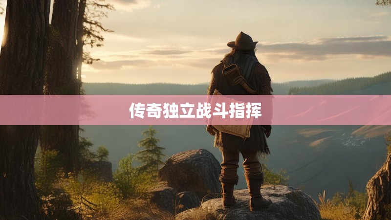传奇独立战斗指挥