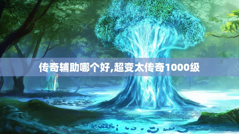 传奇辅助哪个好,超变太传奇1000级