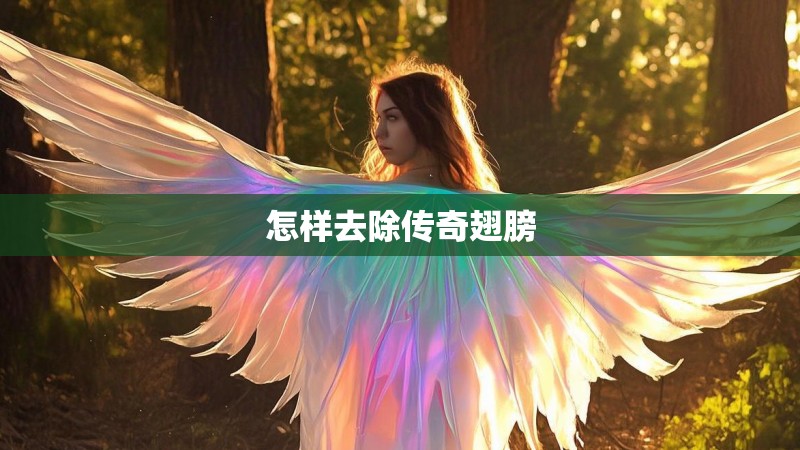 怎样去除传奇翅膀