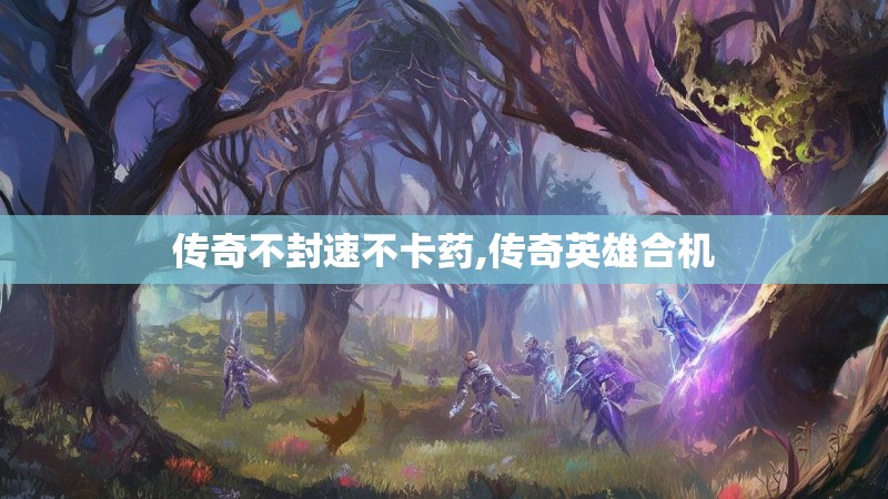 传奇不封速不卡药,传奇英雄合机