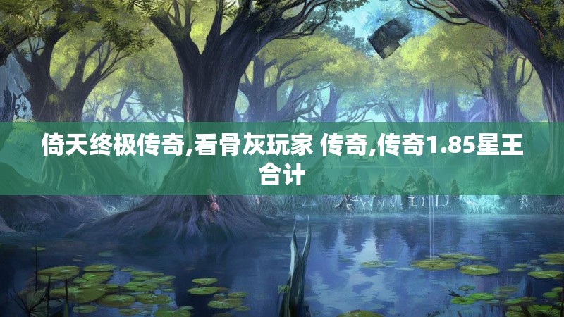 倚天终极传奇,看骨灰玩家 传奇,传奇1.85星王合计