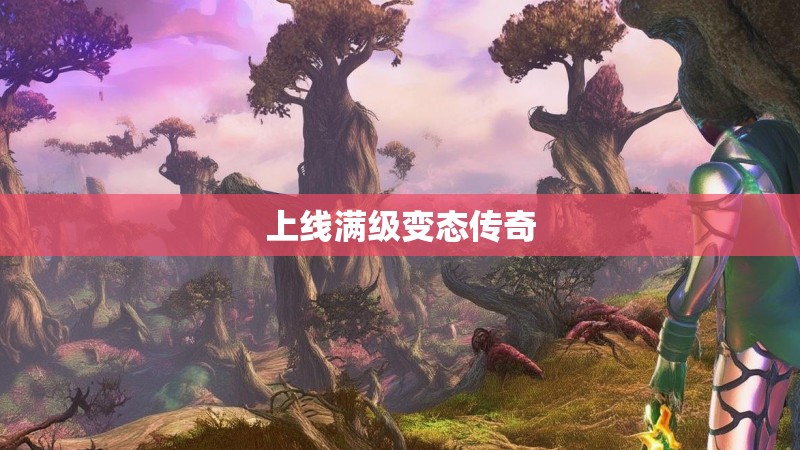 上线满级变态传奇