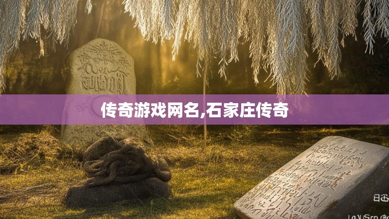 传奇游戏网名,石家庄传奇