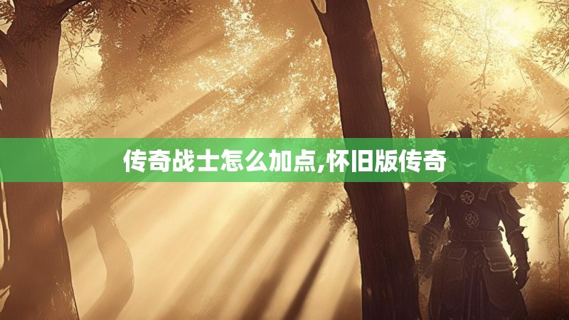 传奇战士怎么加点,怀旧版传奇