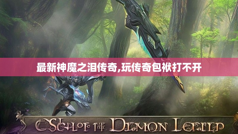 最新神魔之泪传奇,玩传奇包袱打不开