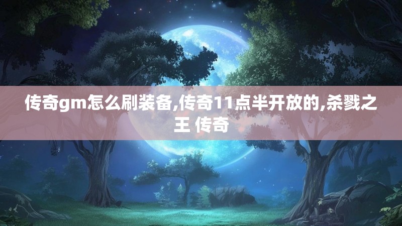 传奇gm怎么刷装备,传奇11点半开放的,杀戮之王 传奇