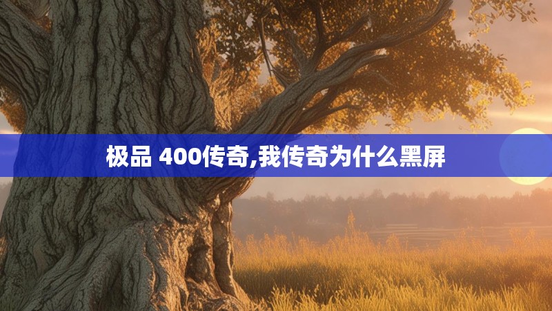 极品 400传奇,我传奇为什么黑屏