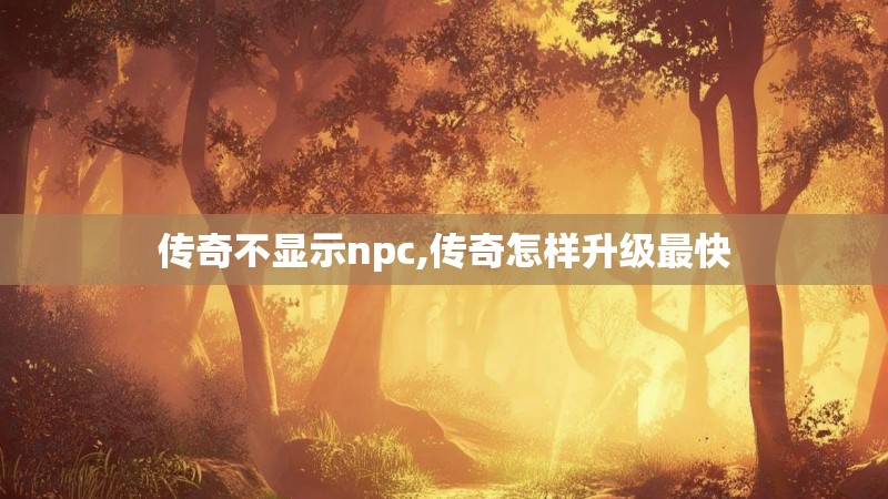 传奇不显示npc,传奇怎样升级最快