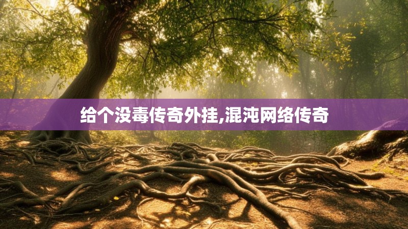 给个没毒传奇外挂,混沌网络传奇