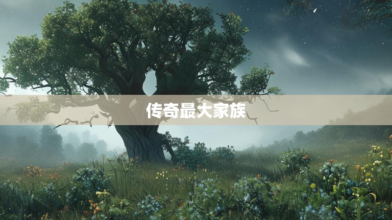 传奇最大家族