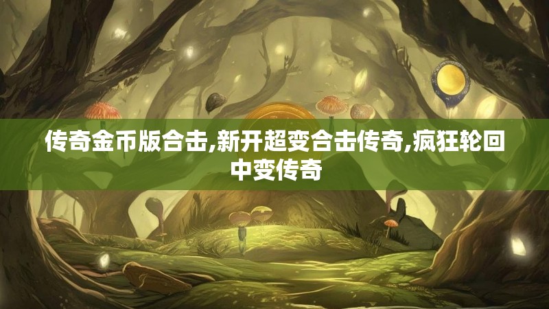 传奇金币版合击,新开超变合击传奇,疯狂轮回中变传奇