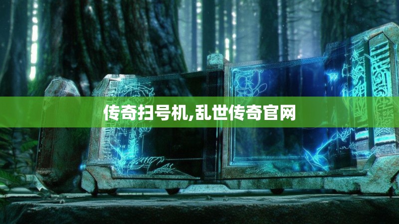 传奇扫号机,乱世传奇官网