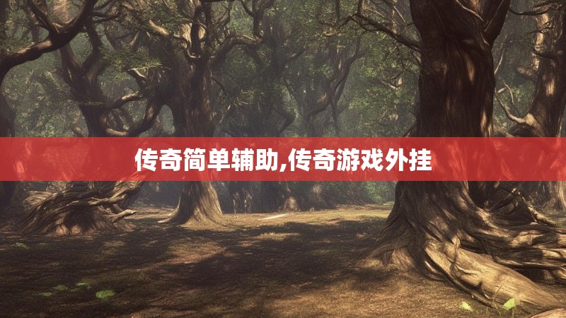 传奇简单辅助,传奇游戏外挂