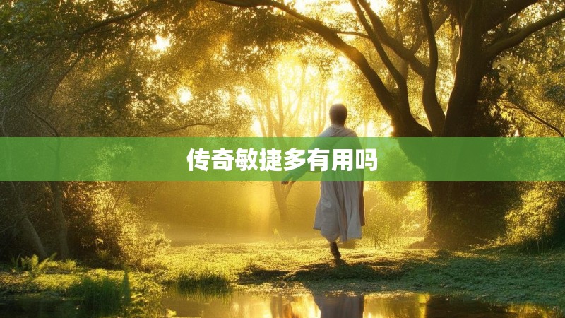 传奇敏捷多有用吗