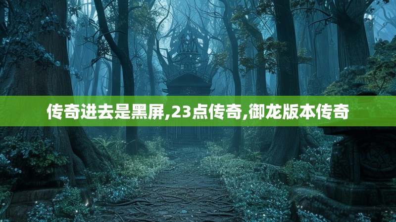 传奇进去是黑屏,23点传奇,御龙版本传奇
