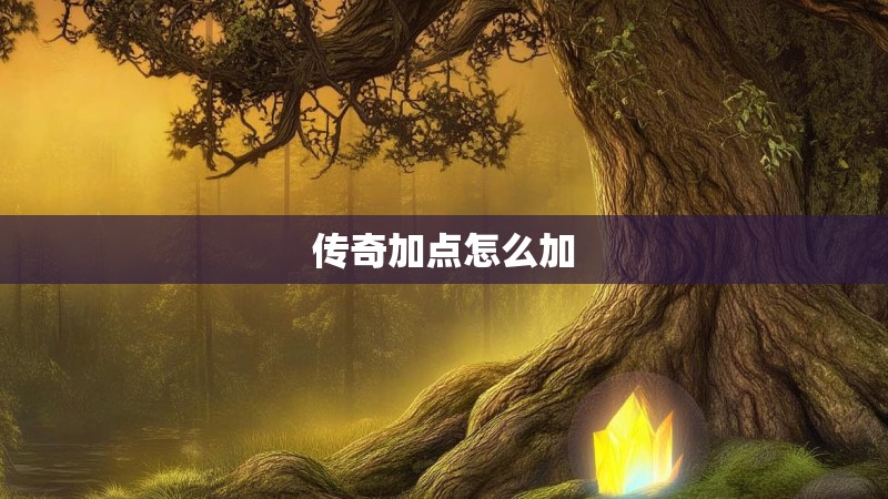 传奇加点怎么加