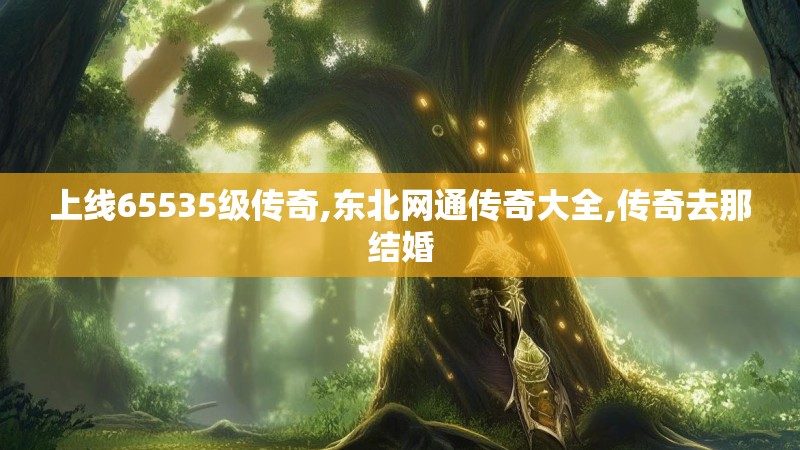 上线65535级传奇,东北网通传奇大全,传奇去那结婚