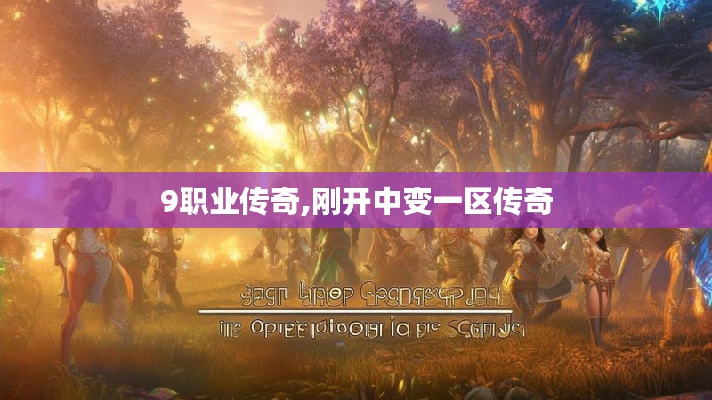 9职业传奇,刚开中变一区传奇