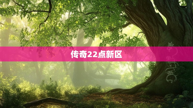 传奇22点新区