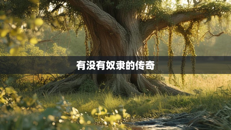 有没有奴隶的传奇