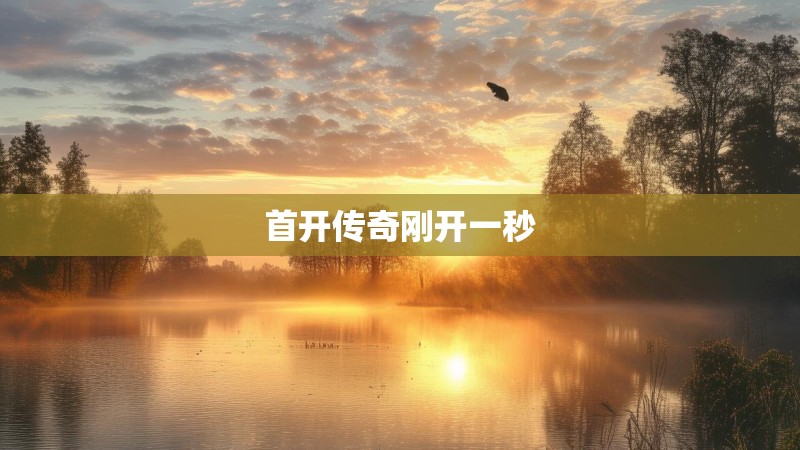 首开传奇刚开一秒