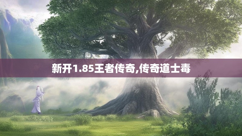 新开1.85王者传奇,传奇道士毒