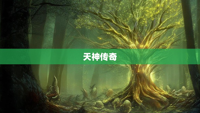 天神传奇