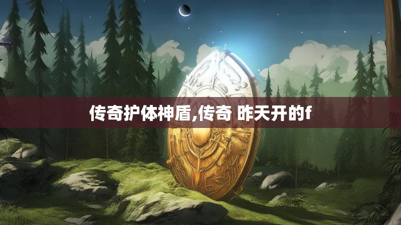 传奇护体神盾,传奇 昨天开的f