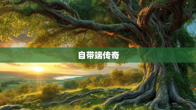 自带端传奇 自带端传奇