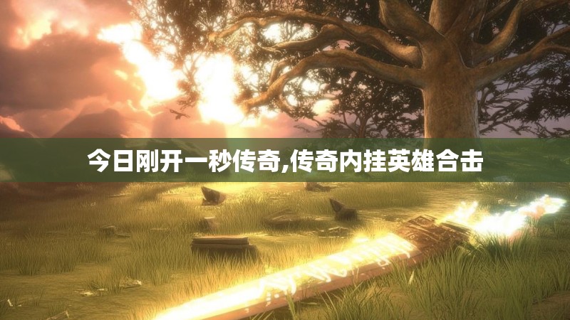 今日刚开一秒传奇,传奇内挂英雄合击