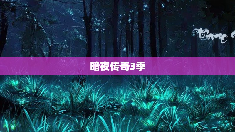 暗夜传奇3季