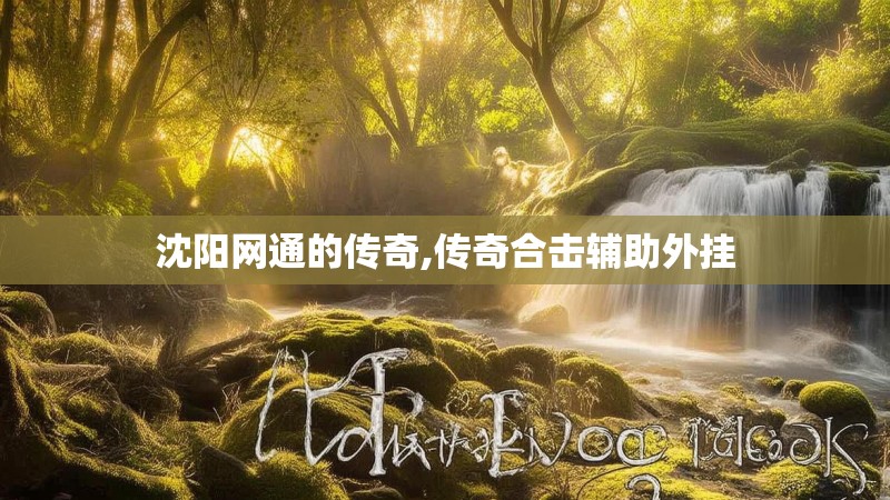 沈阳网通的传奇,传奇合击辅助外挂