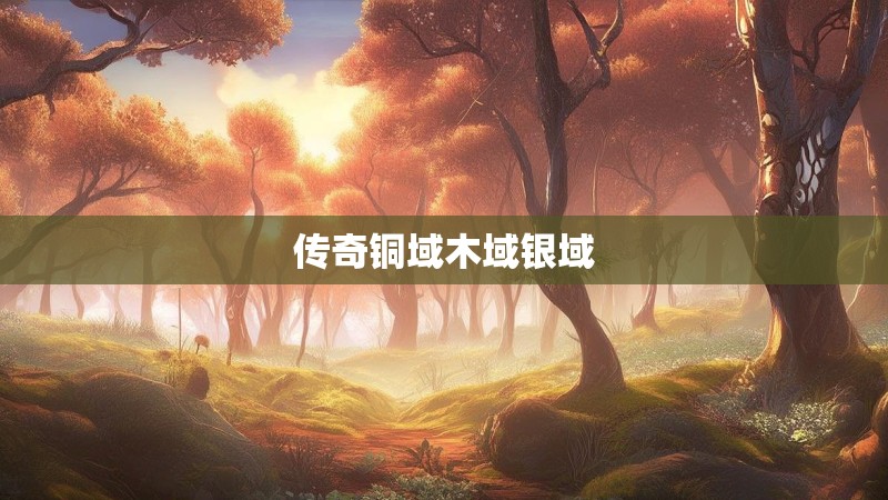 传奇铜域木域银域