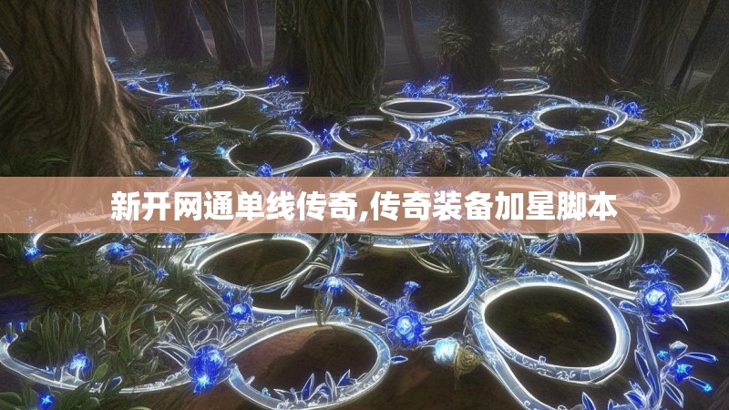 新开网通单线传奇,传奇装备加星脚本