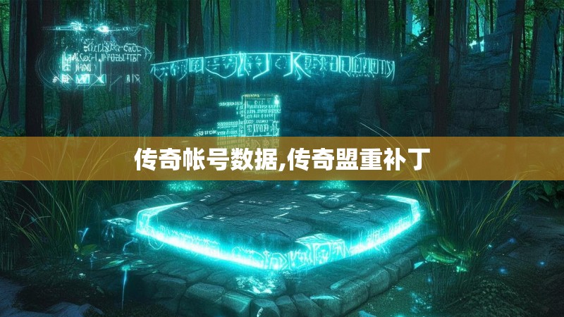 传奇帐号数据,传奇盟重补丁