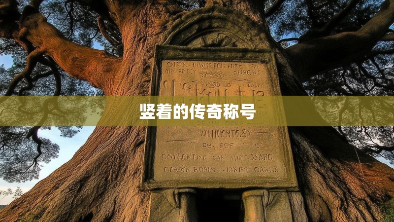 竖着的传奇称号