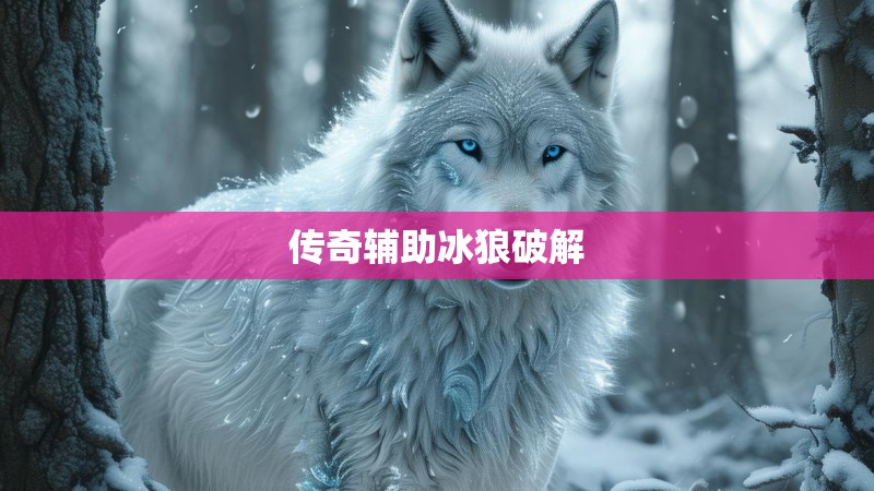 传奇辅助冰狼破解